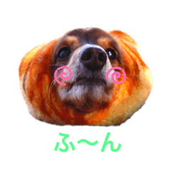 ちょこじぃの一言スタンプだっ！