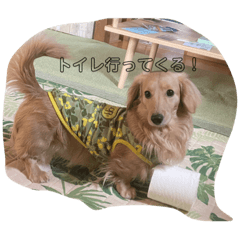 みんなのりゅうくん