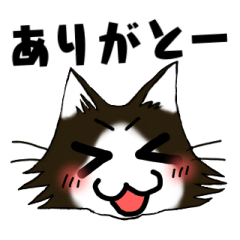 挨拶スタンプ 猫マンガ仕様