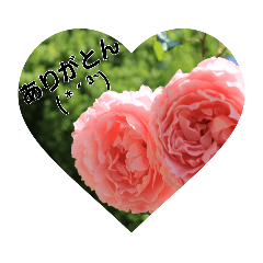 風景に気持ちを込めて