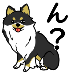 大好き！チワワ