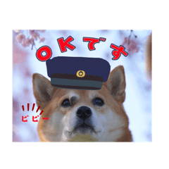 茜に集うわんこたちの日常生活スタンプ