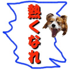 熱い言葉の、熱いスタンプ