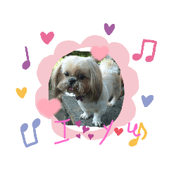 Chuan_20210824202901