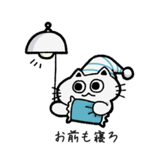 路傍のねこ【基本】