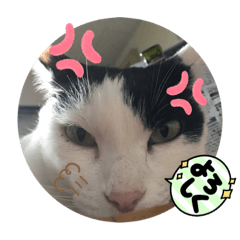 なめんなよー❤︎