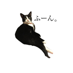 くぅたろ！スタンプ