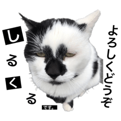 しるくるすたんぷ