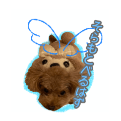 まりょおおおおおおん