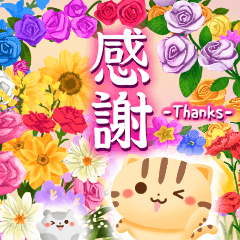 感謝の詰め合わせ