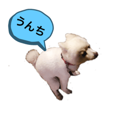 いつもの、まめ