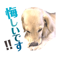 lovelyダックス・Friendsパート2