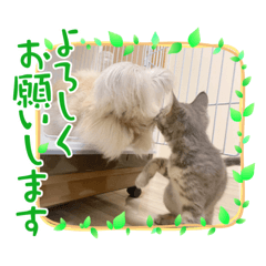 ウザギとうさぎ