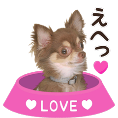 Bell's Daily Life ver.1.1