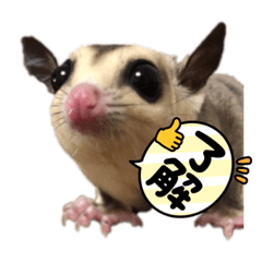 居酒屋ブラザー