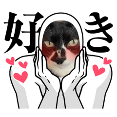 森ちゃんちの保護猫♡