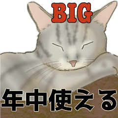 年中使う❤️モフ猫連合03❤️BIGサイズ