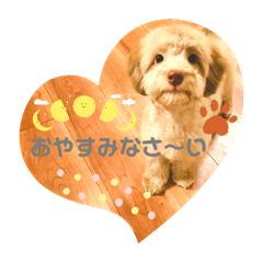 わんこ＊らいふ2