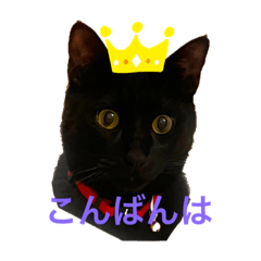 みついさんちのアニマル