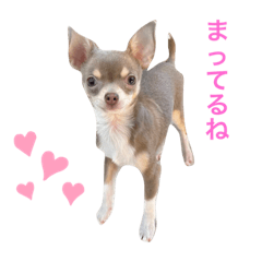 アルくんスタンプ Part.2