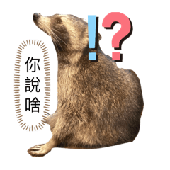 Cindy_20230416154557