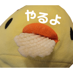 ピヨコの日常スタンプ