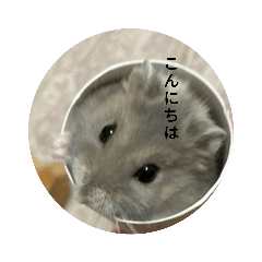 ぺこぺこぐうちゃん