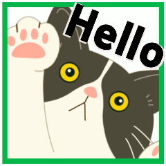 ハチワレぶーにゃんの日常よく使うやーつ