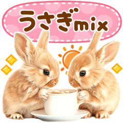 かわいい♡うさぎmix