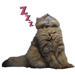 フレサのすたんぷ