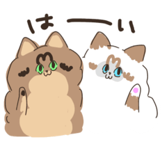 まろちゃんなっちゃん