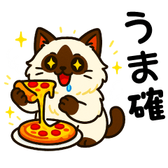 ばんがいアニマル｜ねこ_ギャル語編