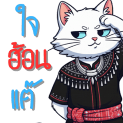 Groovy Cat: Kam Muang  : Cool Guy