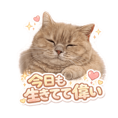 すべての人間達に捧ぐ