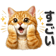 毎日使える！ 茶トラ