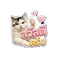 Kimyongyong_20260501171523