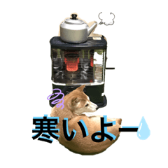 かぐらとたえとりん