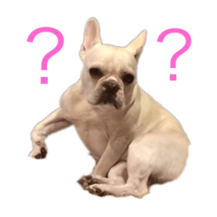 フレブルももさんスタンプ