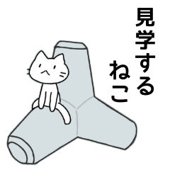 社会見学するねこさん
