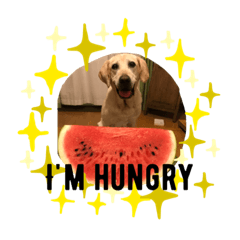 ロックちゃんスタンプ♬