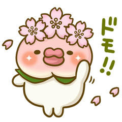 桃のキモチ12。(春)