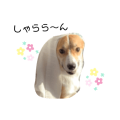 ゆずスタンプ②