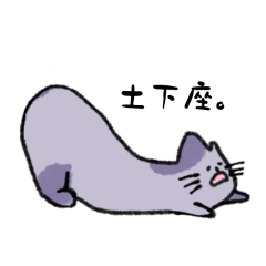 長いネコです。