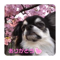 レイくんの気持ち