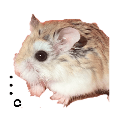 ハムスター 癒しスタンプ