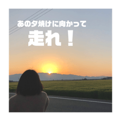 米ですけど何か