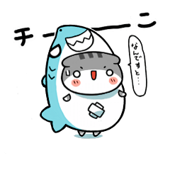 スコティッシュな猫