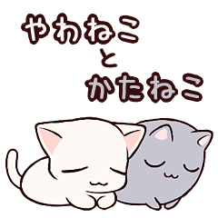 やわねことかたねこ