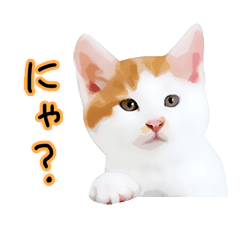 ゆるーい茶トラと茶白ねこ