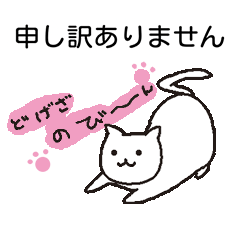 裏腹な白にゃん